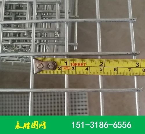 小方孔鍍鋅鴿棚圍網(wǎng) 河北永勝絲網(wǎng)制品廠